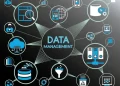 The Importance of Data Management in Businesses